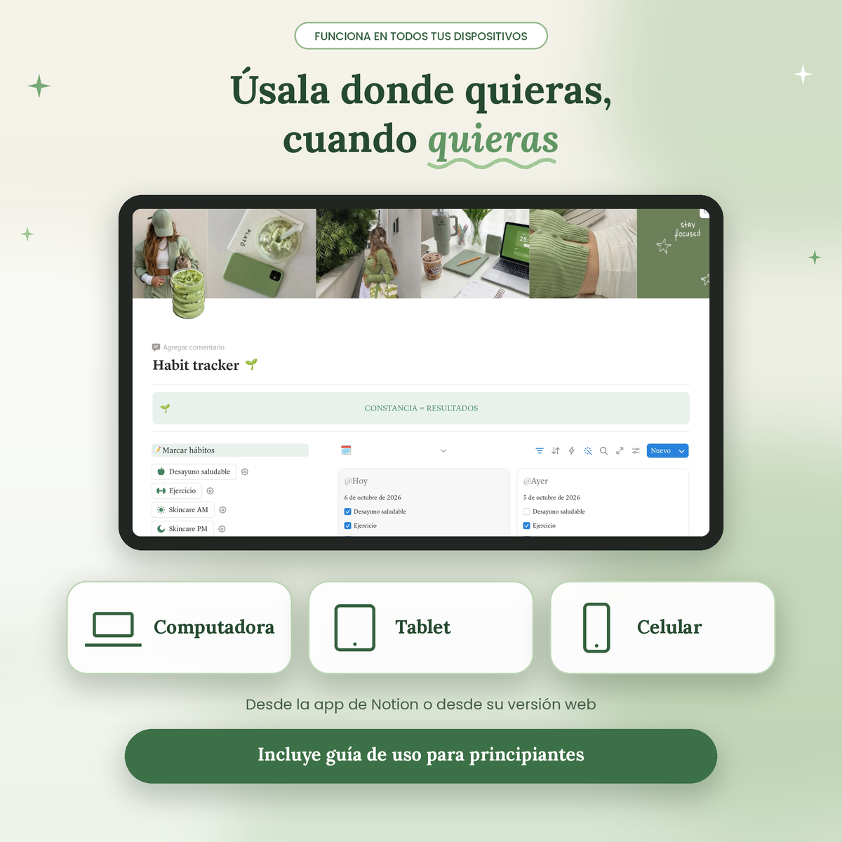 Habit tracker para notion + guia de uso para principiantes.